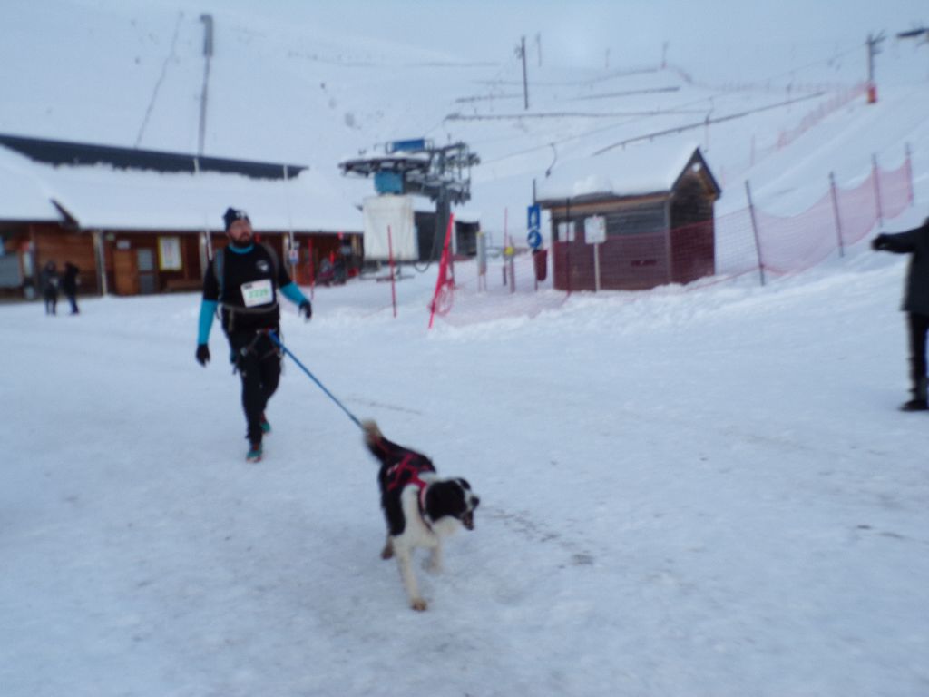 De Xiberoan Txakurrak - Cani-trail des neiges du Hautacam : On l'a fait!