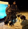  - Cani-trail des neiges du Hautacam : On l'a fait!